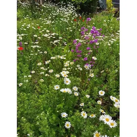 דירה In With Private Terrace *