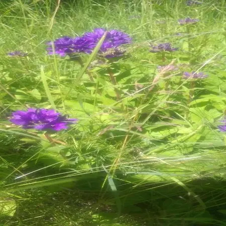 דירה In With Private Terrace *