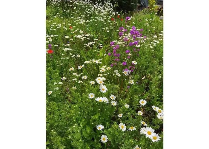 Lägenhet In With Private Terrace *