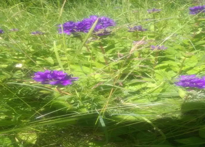 Lägenhet In With Private Terrace *