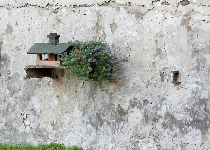 In With Private Terrace Lägenhet Allrode